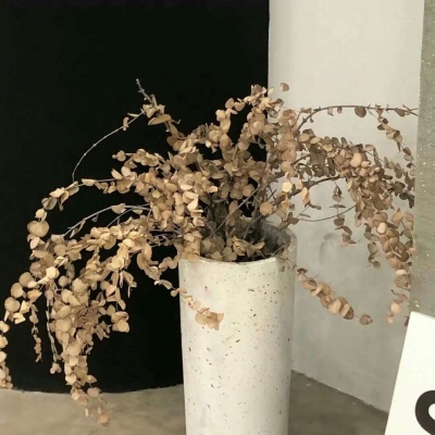 兽设家庭场景绘制FurryQQ群